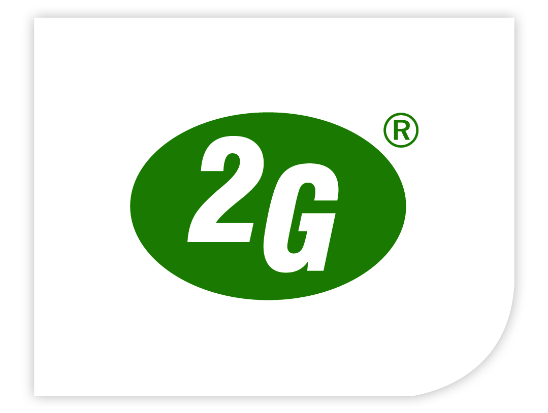 2G Energy AG